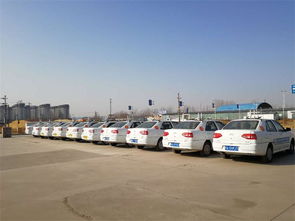 智通驾校 郑州驾照培训的专业选择