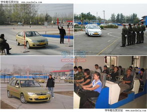 石家庄大众驾校 专业的机动车驾驶员培训伙伴