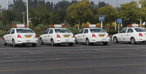 本市机动车驾驶员培训行业信用评价体系即将全面实施，促进行业规范与服务质量提升