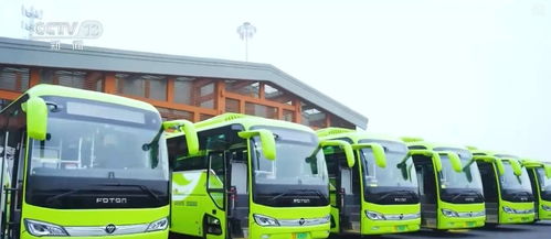 创新迭代、跨界融合与国际合作 中国新能源汽车产业海外投资势头强劲